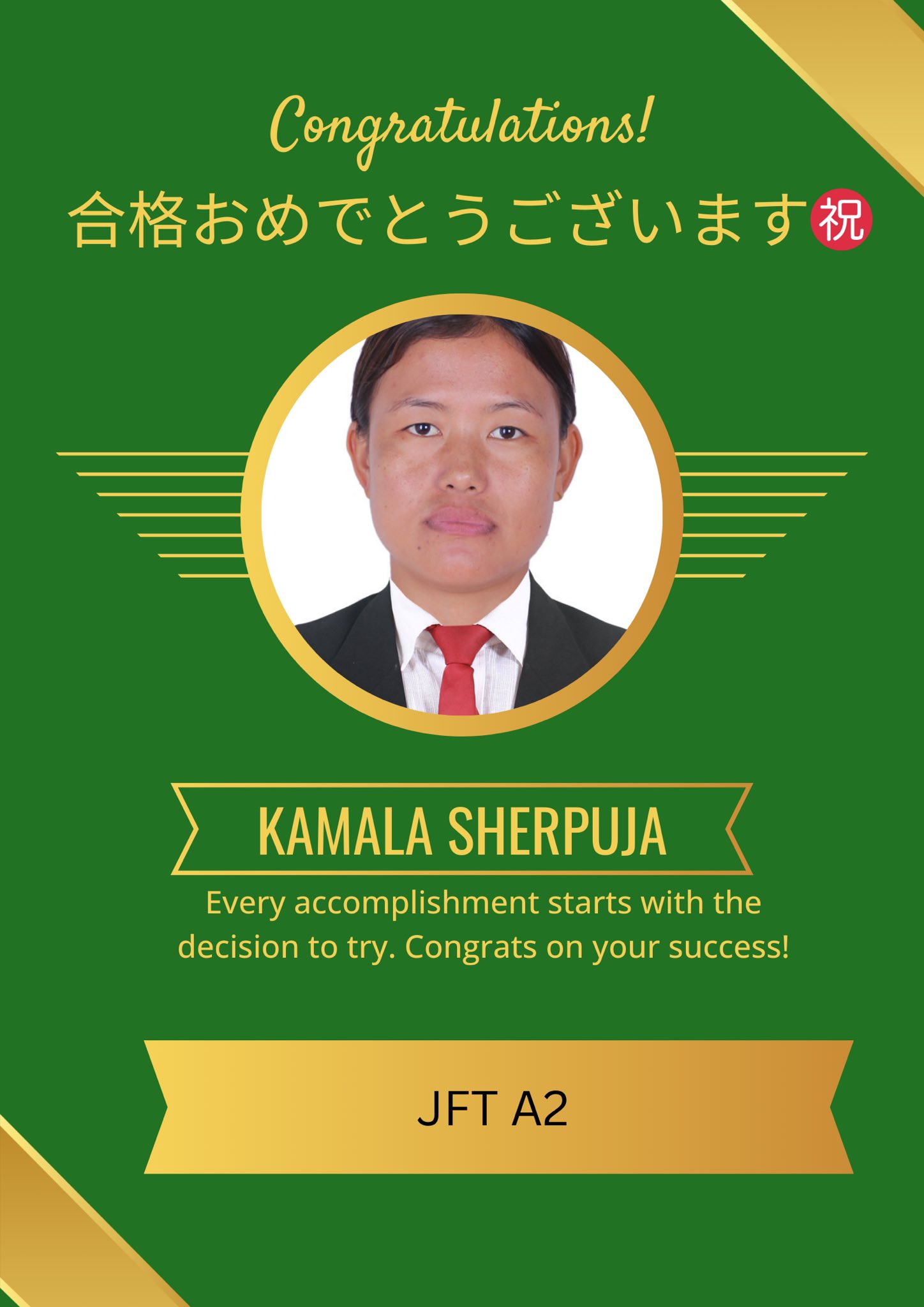 Japan Visa Success