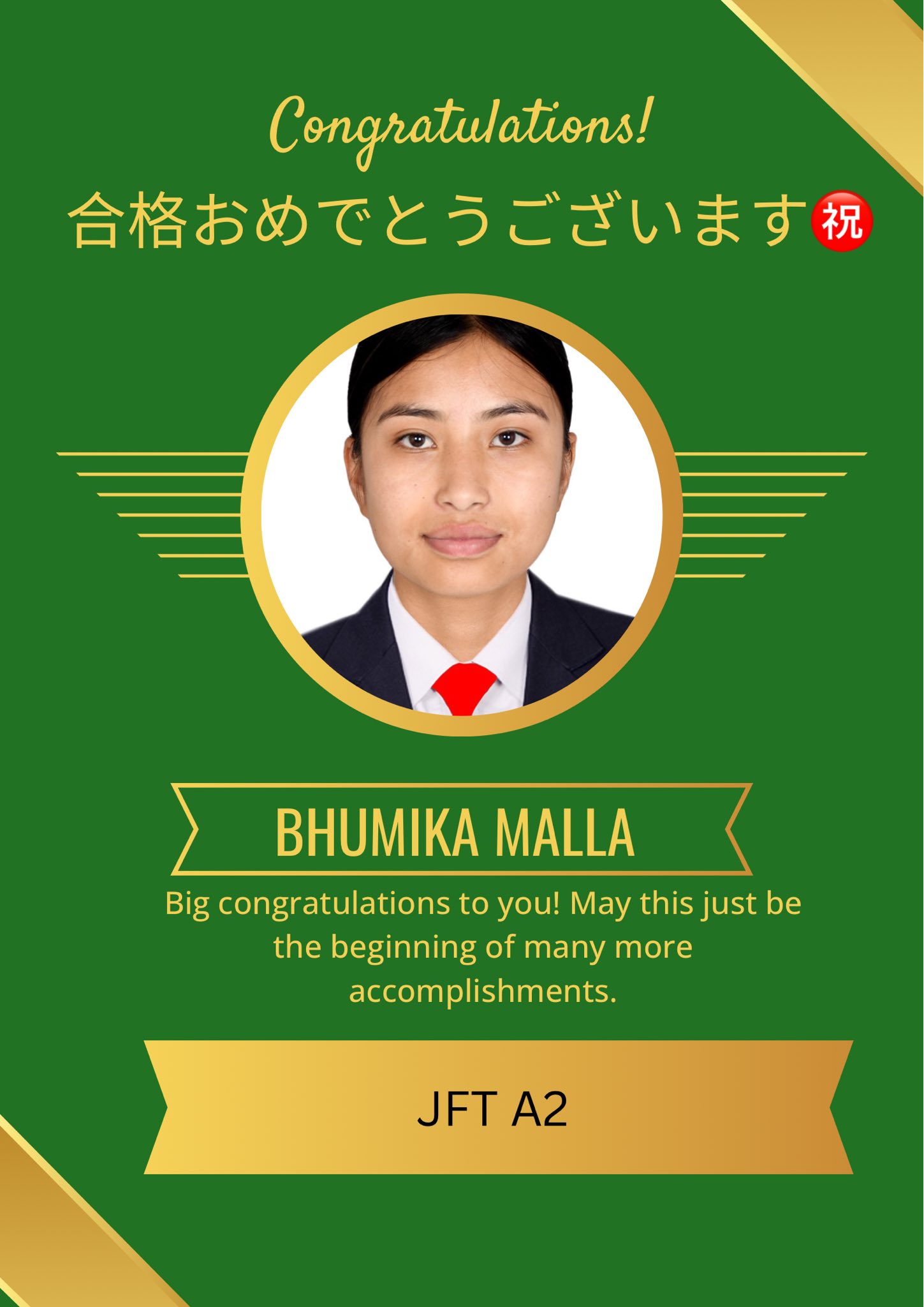 Japan Visa Success