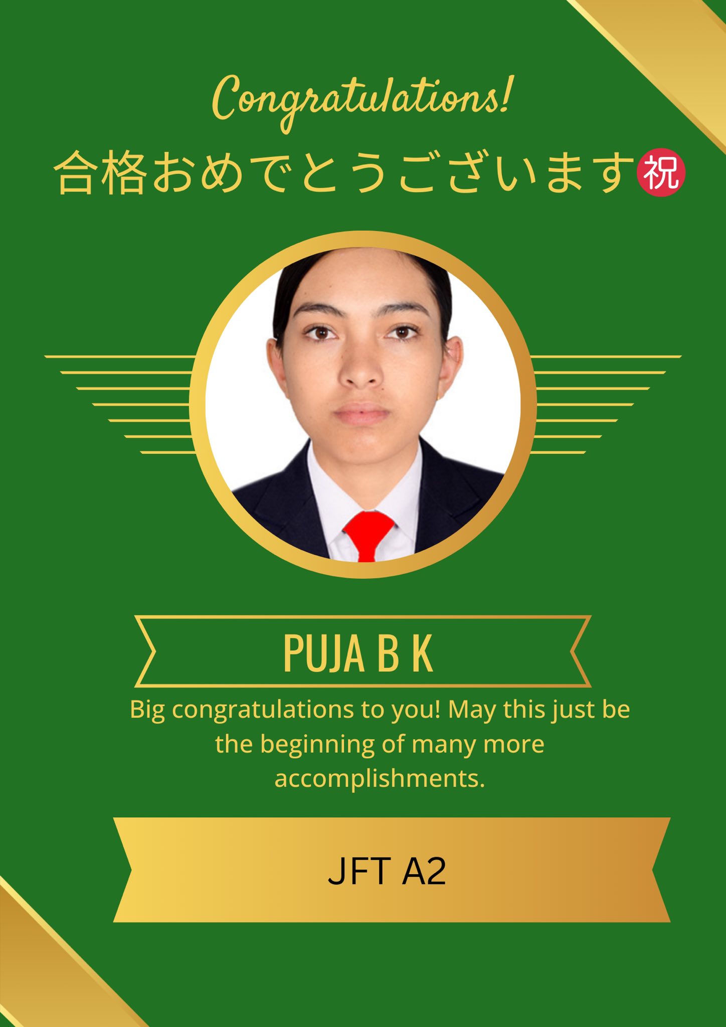 Japan Visa Success